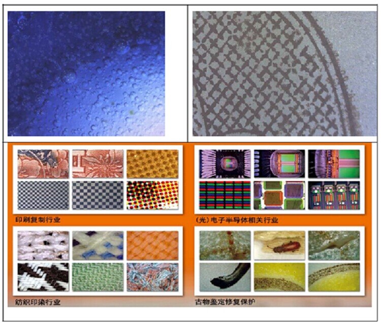 3R-MSA580 便攜式觸屏數碼顯微鏡