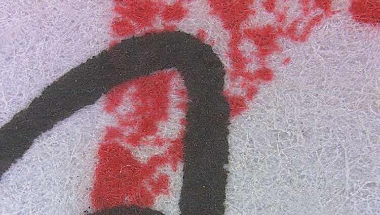 3R-MSA580 便攜式觸屏數碼顯微鏡