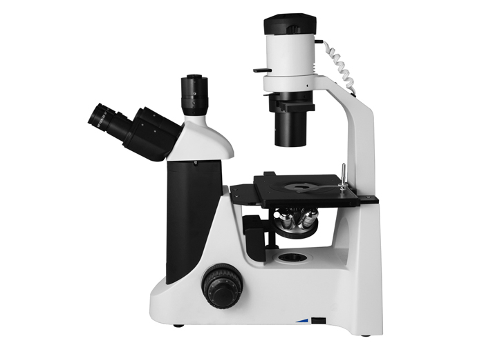 SW-2000D 倒置生物 適合大培養(yǎng)皿 半透明物體以及粉末、細(xì)小顆粒