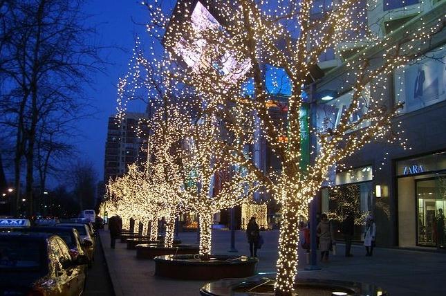 探究城市樹(shù)木亮化的必要性和實(shí)施方法